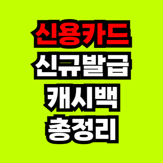 신용카드-신규발급-캐시백-총정리-24년-3월